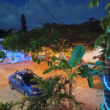 Blue Coconut Cancun Hotel エクステリア 写真