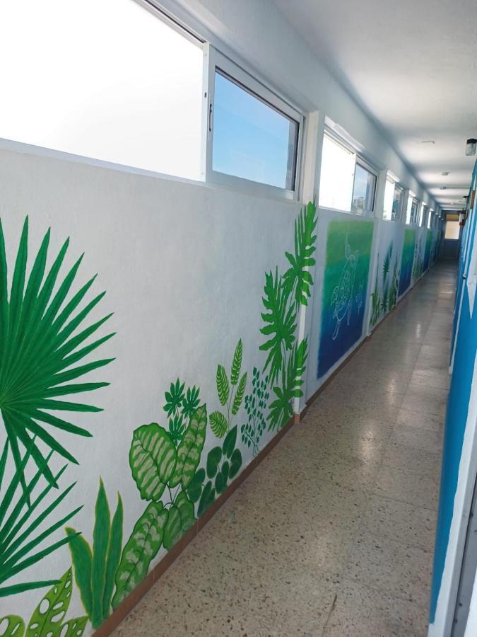 Blue Coconut Cancun Hotel エクステリア 写真
