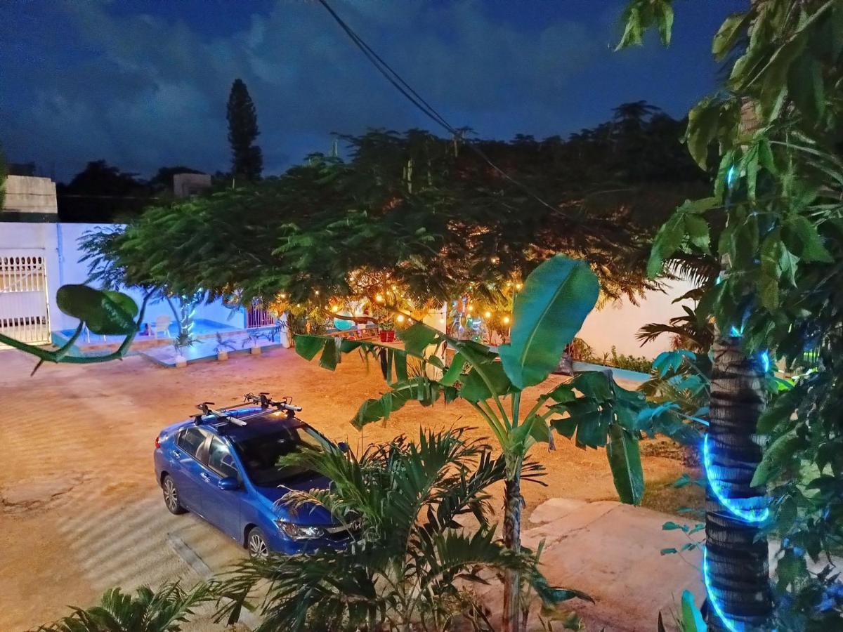 Blue Coconut Cancun Hotel エクステリア 写真