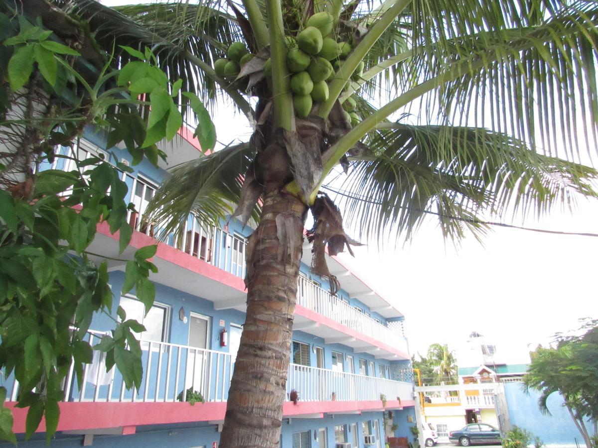 Blue Coconut Cancun Hotel エクステリア 写真