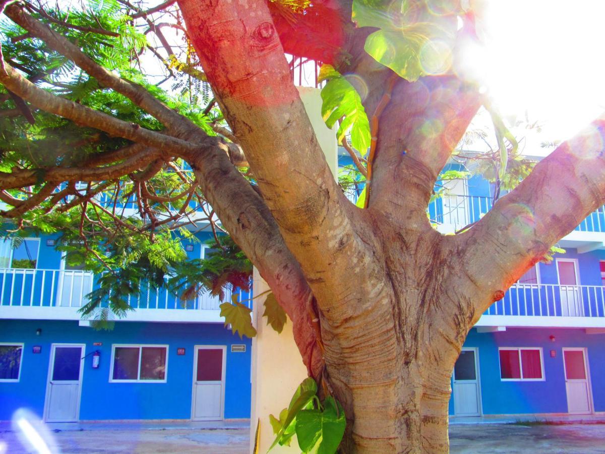 Blue Coconut Cancun Hotel エクステリア 写真